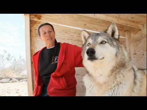 Wolf Mountain Sanctuary