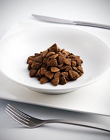 kibble on plate set at the table