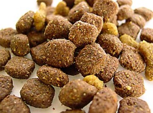 Dry dog food vs Raw dog food