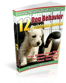12 Dog Behavior Problems Solved by Dan Scott © HealthyDogForLife.com