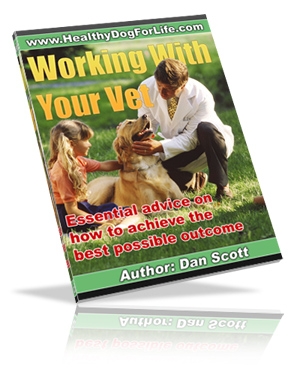 Working With Your Vet by Dan Scott © HealthyDogForLife.com