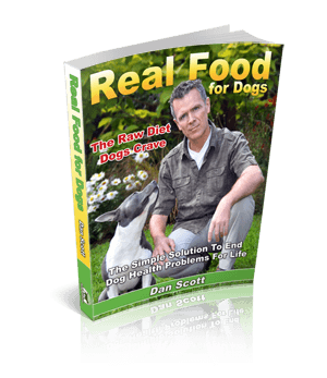 Real Food for Dogs book by Dan Scott