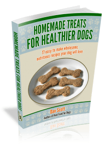 Homemade Treats for Healthier Dogs by Dan Scott