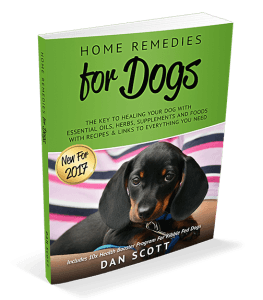 Home Remedies for Dogs Book by Dan Scott