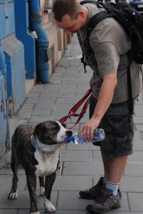 A man giving his dog some water