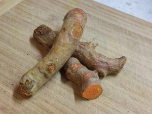 Turmeric Root Vegetable