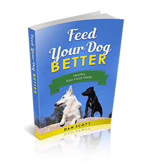 Feed Your Dog Better Raw Food Diet