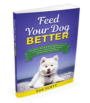 Feed Your Dog Better book by Dan Scott