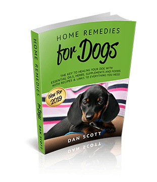 Home Remedies for Dogs Book by Dan Scott