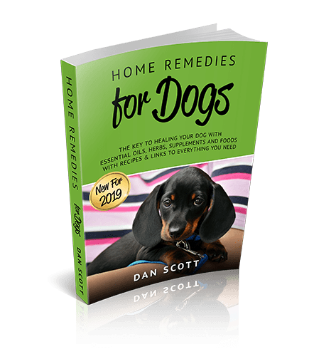 Home Remedies for Dogs Book by Dan Scott