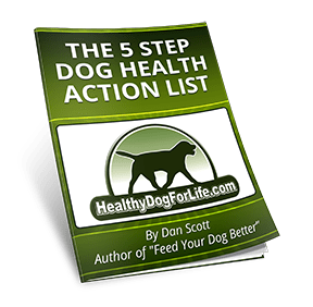 The 5 Step Dog Health Action List